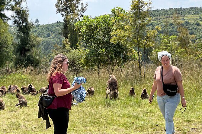 1-Day Tour Old bridge, Monastery,water falls Wildlife,Birds, - Key highlights you should not miss
