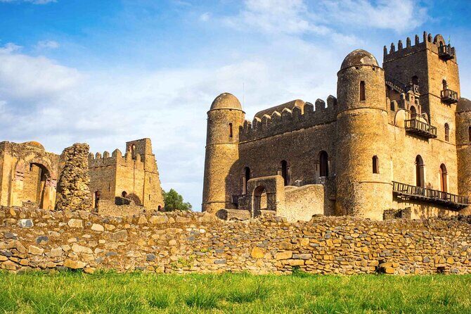 12- Day Historical Route of Ethiopia - Simien Mountains National Park: optional walk, geladas, and a camping night