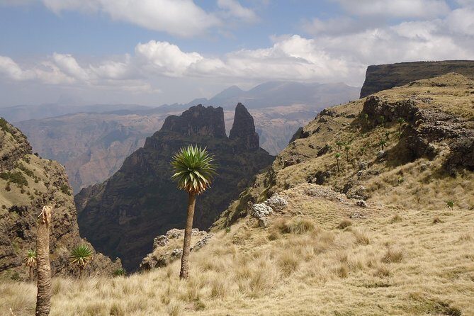 2 Days Simien Mountains Trekking - What You’re Paying For: Value in the Included Mules, Permits, and Meals