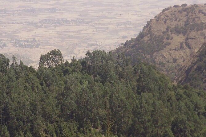 2 days trek around Lalibela - Day 1: a 5–6 hour walk into a community overnight