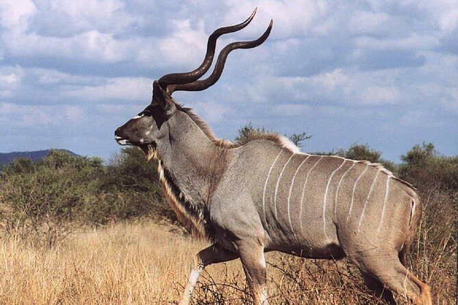 2 Days Wildlife Safari to Awash National Park - Awash National Park: a practical wildlife choice from Addis Ababa