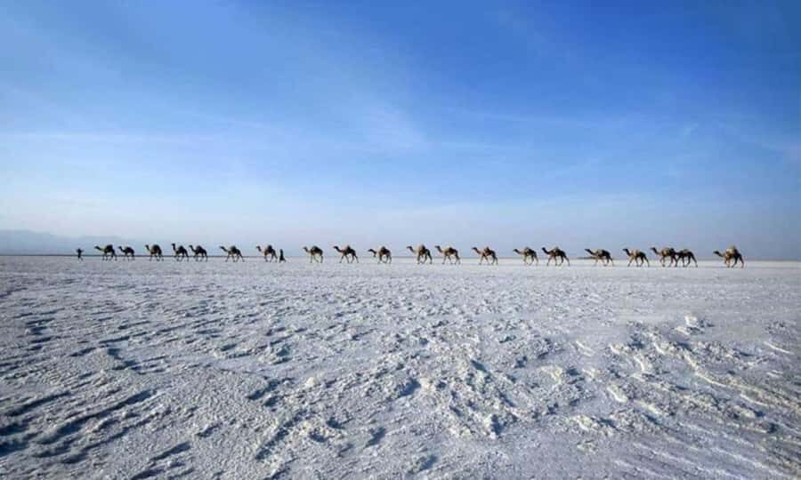 2-Night 3-Day Danakil Depression Tour without Flights - Day 1: Addis Ababa to Erta Ale, then camping by the rim