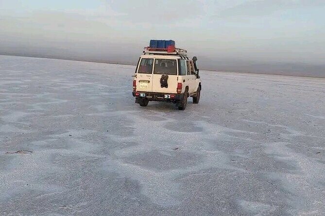 3 Day Danakil Depression Dallol & Ertale Tours - Day 1 overnight at Hamadella: camping setup, included meals, and a reality check