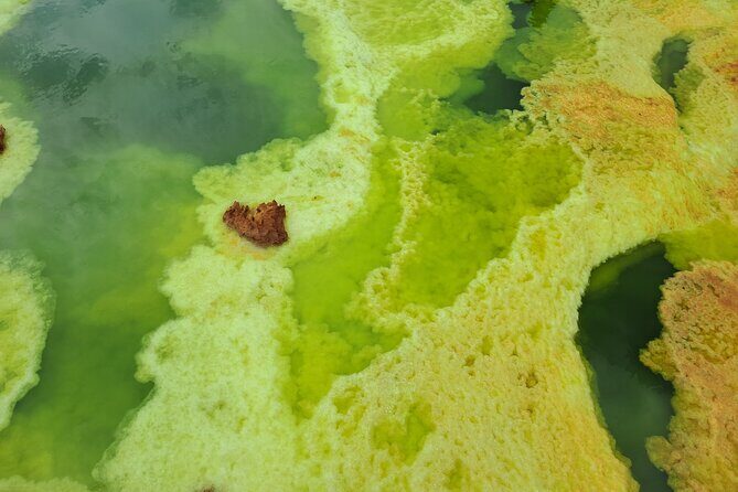 3 Day Danakil Depression Ertale and Dallol Tours - Dallol and the wider Danakil world on Day 3