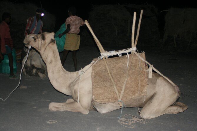 3-Day Danakil Depression Expedition - Price and Logistics: Is $469.82 Good Value?