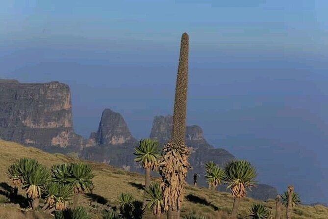 3 Day Simien Mountains Tours - Price and What You’re Really Paying For