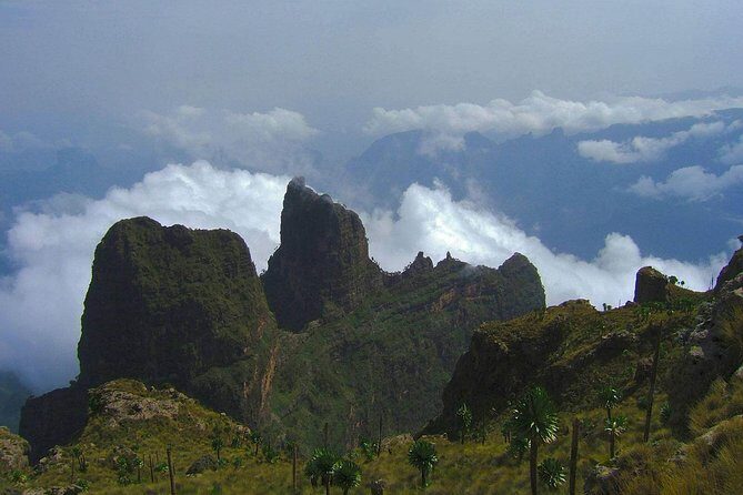 3 Days Bale Mountains Trekking - Day 1: woodland walks after ET 175, then a hotel night in Goba area
