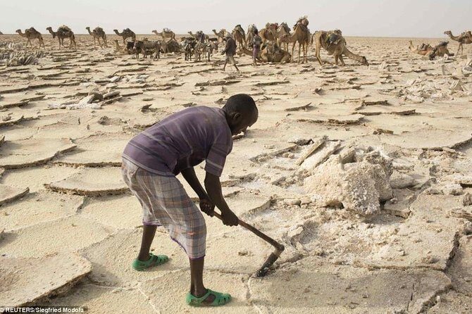 3 Days Danakil Depression Tours Via Semera - Small-Group Schedule: Timing, Dress Code, and the 8:00 Start
