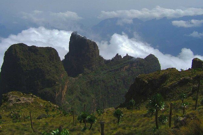 4 Days Trekking to Simien Mountain National Park - Who should book this Simien trek, and who should skip it
