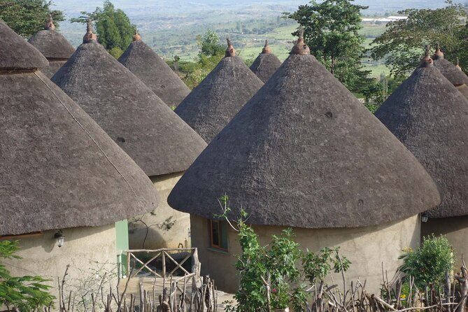 6 day Omo ValleyTours - Day 1 in Turmi: Hamar villages, market timing, and optional ceremonies