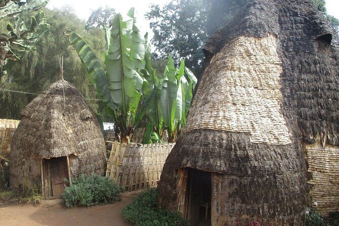 6 day Omo ValleyTours - Day 6 in Arba Minch: Chamo Lake crocodiles, fish markets, and final return to Addis