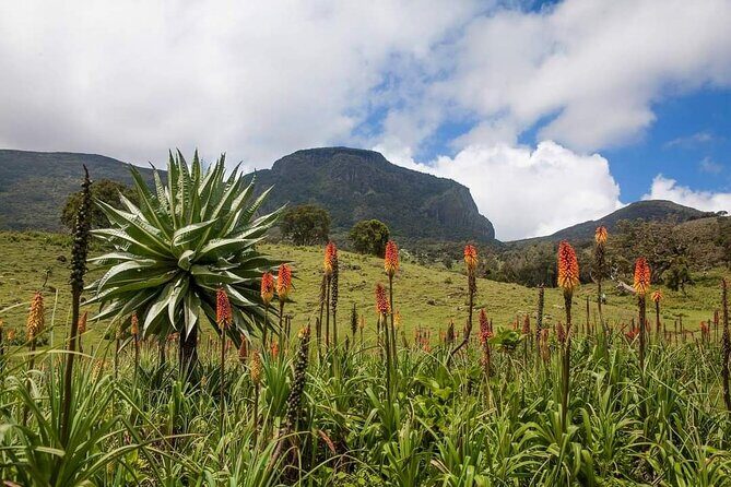 6 Days Bale Mountains Trekking - Day 2 to Sodota Camp: the 18 km hike with Wolla and Web river valleys