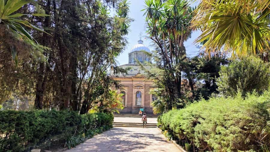A guided tour of Addis Abeba that includes a city viewpoint - Tomoka Coffee: a calm pause in the middle of movement