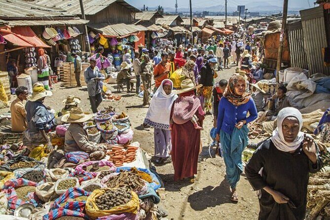 Addis Ababa City Tours Full Day With Hotel Pickup And Drop Off - National Museum of Ethiopia: the Lucy moment and why it takes time