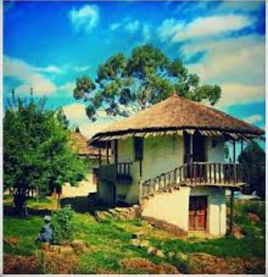 Addis Ababa: Entoto hill and Mercato Market layover tour - Menelik II’s Former Palace: Emperor History in a Single Stop