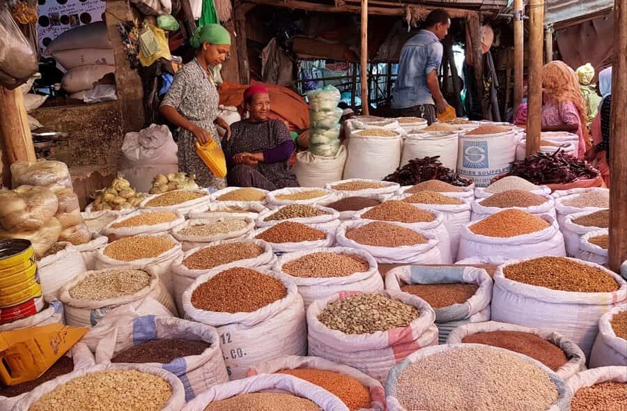 Addis Ababa: Entoto hill and Mercato Market layover tour - Who Should Book (and Who Should Think Twice)