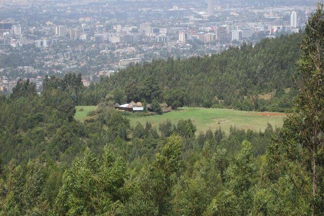 Addis Ababa +Mount Entoto View Point,Museums Palace Market Tours - Derg Monument, Yekatit 12, Lion of Judah, and Menelik II Square