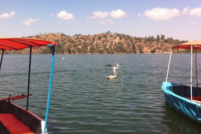 Addis Ababa Spa Day Trip To Debre Ziet(Resort Towns) - Your Day in Two Resort Blocks: How the Timing Works
