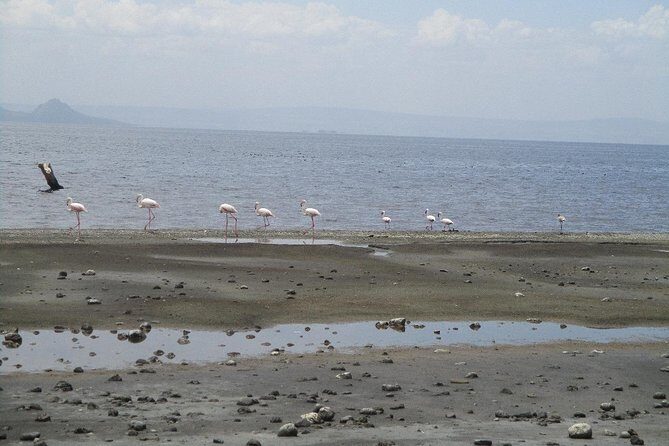Arba Minch, Dorze Tribe, Konso, and Awasa Private 4 Days Tour from Addis Ababa - Day 1: Tiya’s Steles, Devil’s Lake, and Rift Valley Lookouts