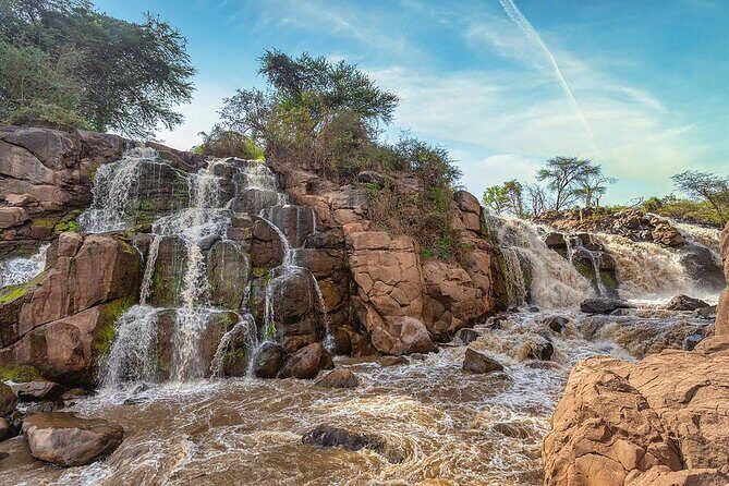 Awash National Park Tours - From Addis Ababa to Awash: A fast nature reset