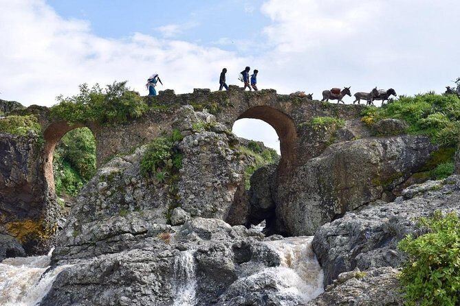 Breathtaking Nature, Wildlife and Cave Church Tour - Free Pickups - Wildlife and birds on the way: baboons, geladas, and kingfishers