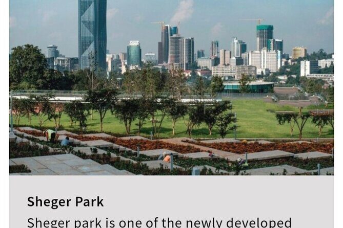 City/Airport Transfers-Addis Ababa - The guide-driver angle: who you’re really hiring