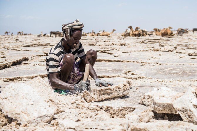 Danakil 3 days tour - Camping, meals, and comfort: outside nights with real support