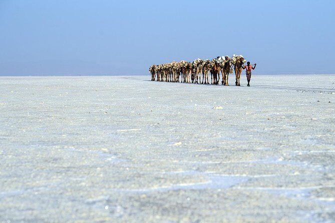Danakil 3 days tour - Who should book this Danakil 3-day tour
