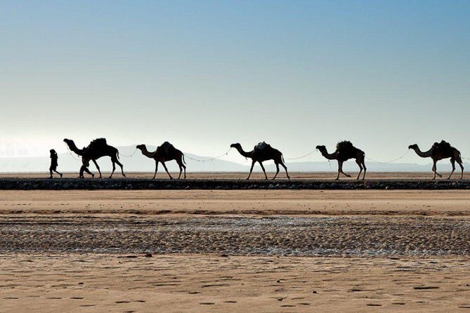 Danakil Depression and Lalibela 5 Days Tours - Day-by-Day: Danakil Depression to Ahmed Ella Camping