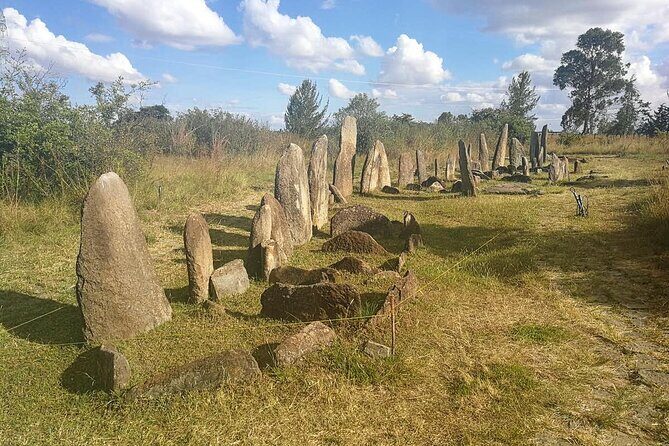 Day Tours to Tiya Stele and Cave Churches of Adadi Maryam - Lunch, water, and the rhythm of a guided day
