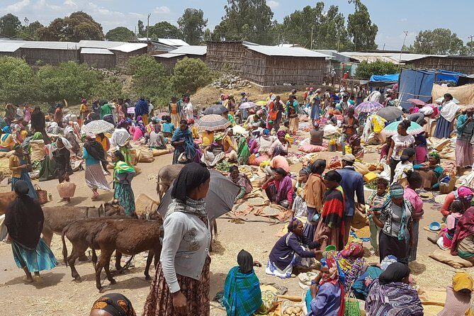 Day-Trip Church of Adadi Mariam from Addis Ababa - When to go and what to pack for a church-and-sites day
