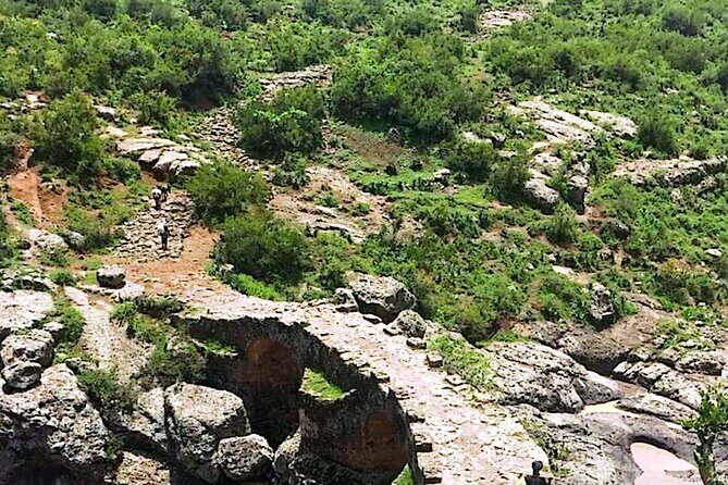 Day Trip Debre Libanos Bule Nile George and Portugal Bridge - Gelada baboons and birds: what to watch for on the Blue Nile