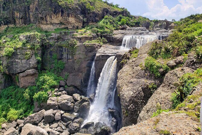 Day Trip From Addis Ababa See Historical Monastery,Stunning Nature,Animals,Birds - Price and Value: What You’re Really Paying for at $90