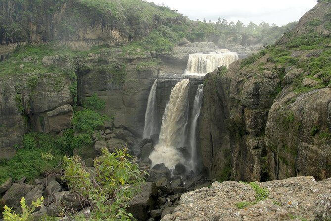Day Trip From Addis Ababa See Historical Monastery,Stunning Nature,Animals,Birds - Debre Libanos: Saint Tekle Haymanot, Tombs, and Church Buildings You Can Feel