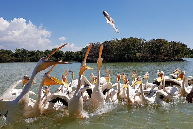 Day trip on Bahir dar. To visit lake tana monasteries and Blue Nile Falls. - Key things I’d watch for