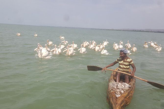Day trip on Bahir dar. To visit lake tana monasteries and Blue Nile Falls. - A 7:00 am start: how this long Bahir Dar day really works