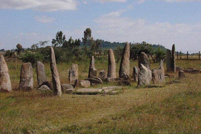 Day trip to Adadi Mariyam, Tiya and Melka kunture - Stop 2: Melka Kunture fossils and the shock of deep time