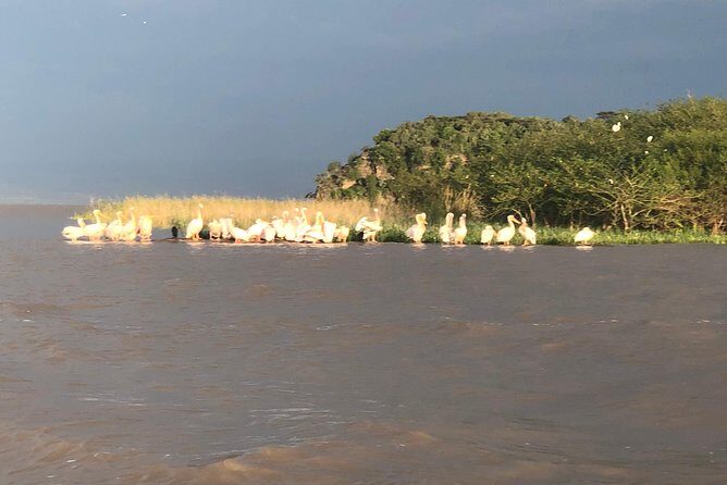 Day Trip To Lake Ziway - Lake Ziway is the “slow down” part of Ethiopia