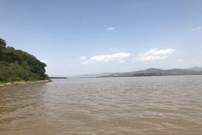 Day Trip To Lake Ziway - Boat time on Lake Ziway: where hippos and birds do the work