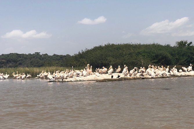 Day Trip To Lake Ziway - A short walk to a monastery with possible limited access
