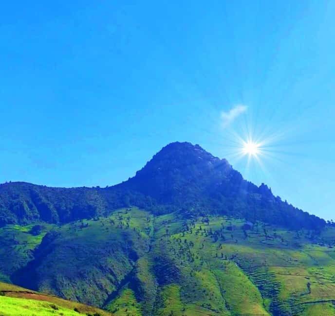 Day Trip To See Monastrys,Amazing landscapes & Animals - The return drive: huts, farmlands, and birdlife on the way back