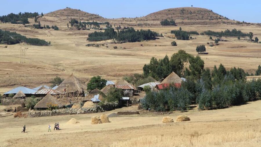 Day Trip To See Monastrys,Amazing landscapes & Animals - Debre Libanos Museum: where ancient religious life becomes tangible