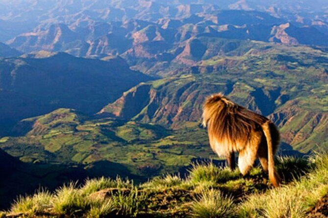 Debre Libanos and Portuguese bridge - Key highlights you’ll care about