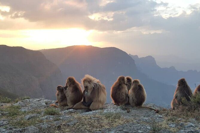 Debre Libanos and Portuguese bridge - Should you book Debre Libanos and Portuguese Bridge?
