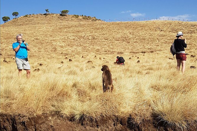 Debre Libanos Monastery and Jemma River Gorge - Day Tour from Addis Ababa - Oromo coffee ceremony and the family visit: the human part of the day