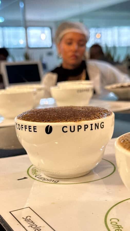 Ethiopia coffee cupping class/Ethiopian food injera making - What you’ll love, and what to consider