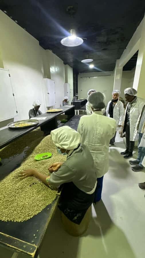 Ethiopia coffee cupping class/Ethiopian food injera making - Your injera meal: shiro, misir wot, and eating Ethiopian style
