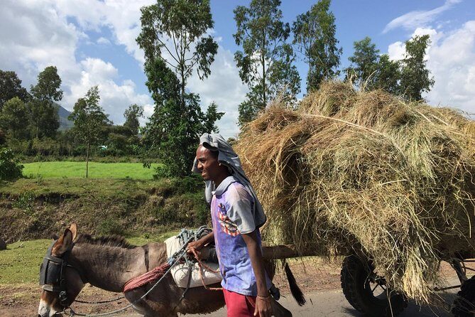 Excursion to Melka Kuntre, Tiya and Adadi Mariam - A morning start from Addis Ababa that keeps the day on track