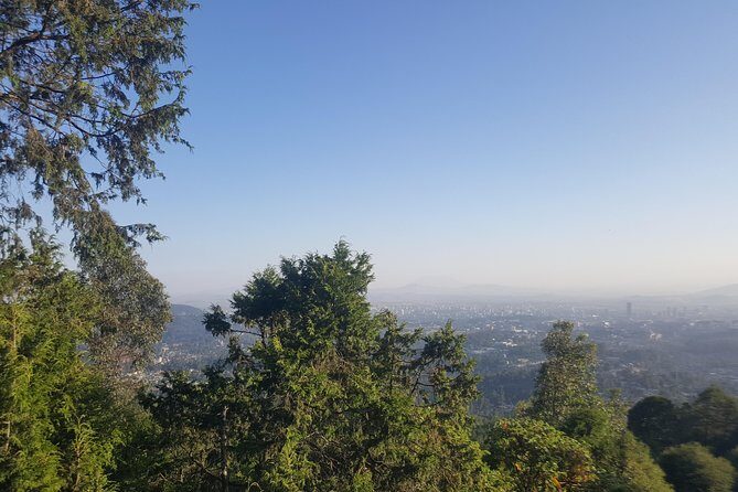 Full Day Tour of Addis Ababa with Hotel Pickup and Drop-off - Entoto viewpoints and Chiromeda market: altitude, eucalyptus, and optional shopping