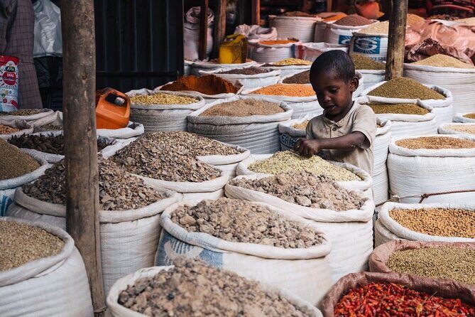 Full & Half Day City Tour Of Addis Ababa - Holy Trinity Cathedral and Haile Selassie Sites: Royal Power Meets Living Faith